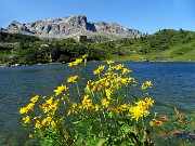 01 Lago Rotondo (1972 m) con vista sul Rif. Calvi e Cabianca 